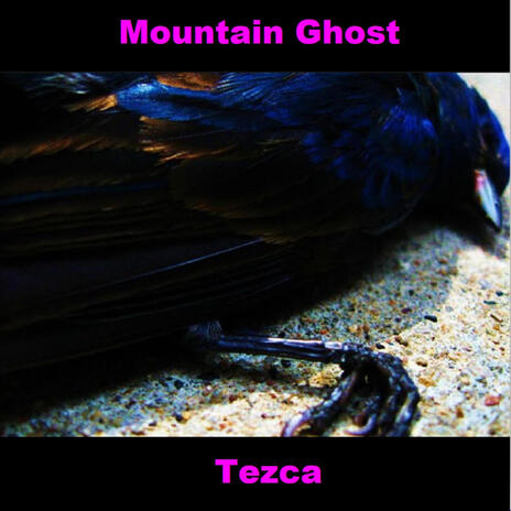 Mountain Ghost | Boomplay Music