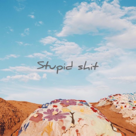 Stupid Shit | Boomplay Music
