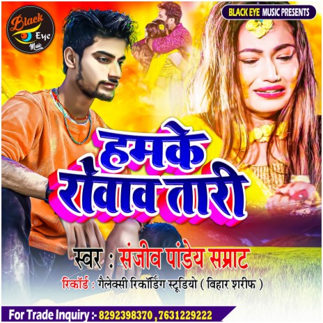 Hamke Rovav Taari | Boomplay Music