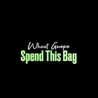 Spend This Bag