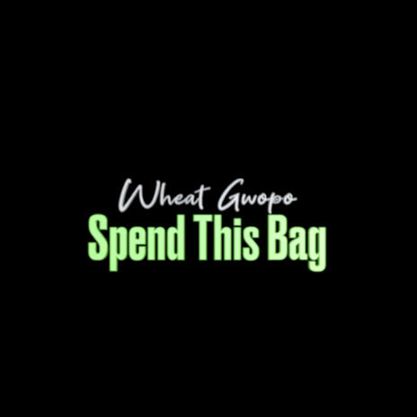 Spend This Bag | Boomplay Music
