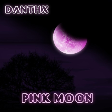 Pink Moon (Studio) | Boomplay Music