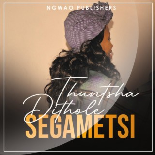 Segametsi