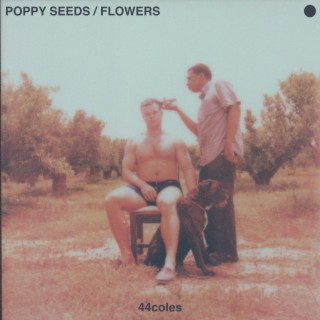 Poppy Seeds / Flowers