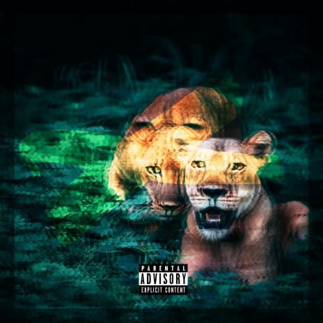 Lioness | Boomplay Music