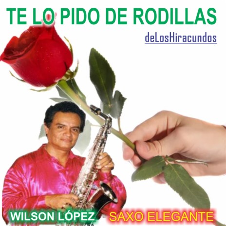 Te lo pido de rodillas/ delosHiracundos | Boomplay Music