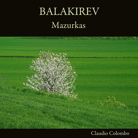 Mazurka No. 2 in C-Sharp Minor | Boomplay Music