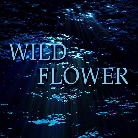 WILDFLOWER | Boomplay Music