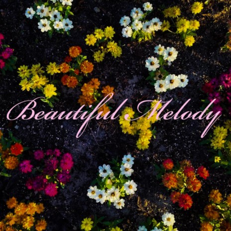 Beautiful Melody | Boomplay Music