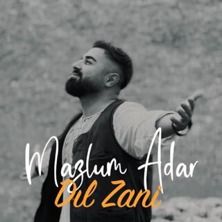 Dıl Zani