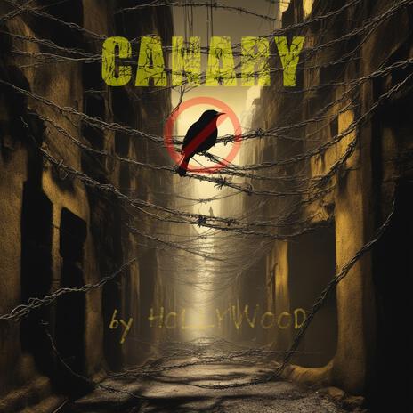 CANARY SEVEN | Boomplay Music