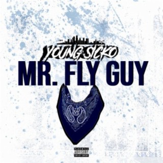 MR. FLY GUY
