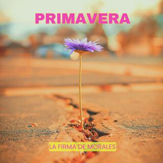 Primavera lyrics | Boomplay Music