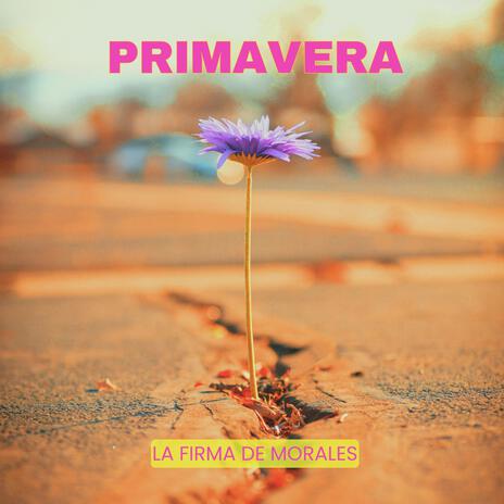 Primavera