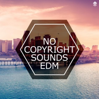 No Copyright Sounds EDM