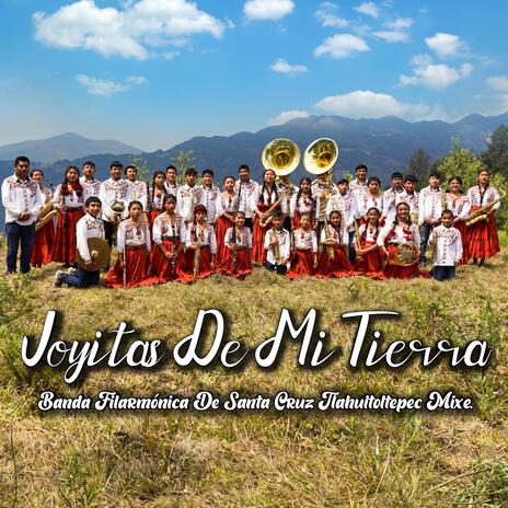 Joyitas De Mi Tierra | Boomplay Music