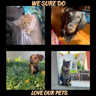 We Sure Do Love Our Pets