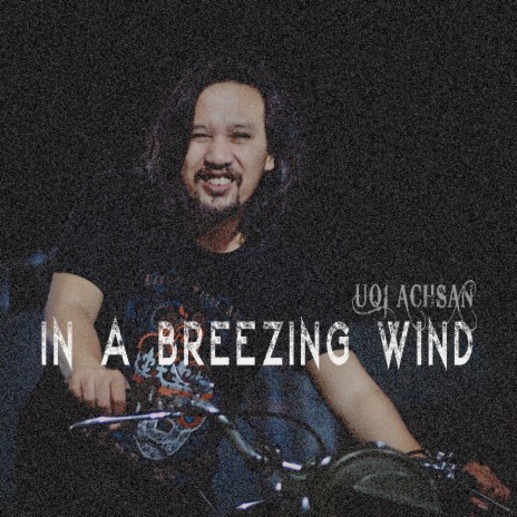 In a Breezing Wind | Boomplay Music