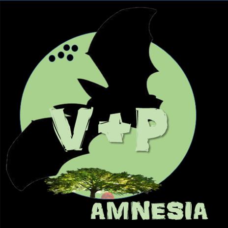 Amnesia | Boomplay Music