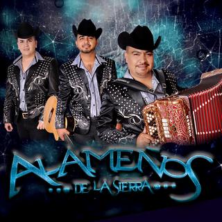 Exitos en Vivo (En vivo)