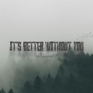 It's Better Without You lyrics | Boomplay Music