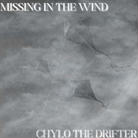 Missing In The Wind | Boomplay Music