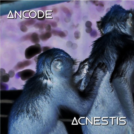 Acnestis | Boomplay Music