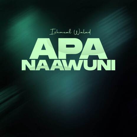 Apa Naawuni | Boomplay Music