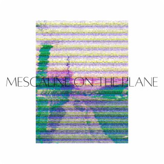 Mescaline On The Plane