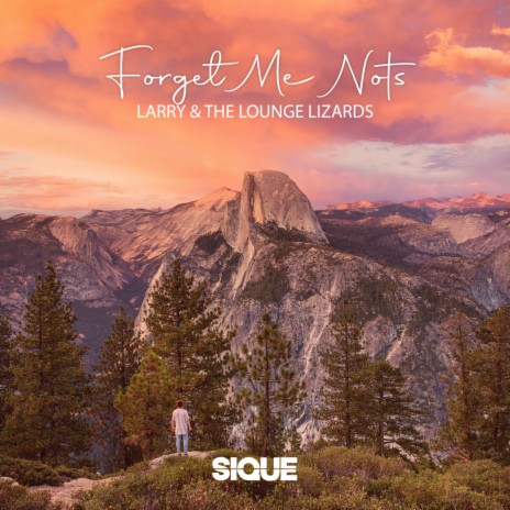 Forget Me Nots ft. SIQUE | Boomplay Music