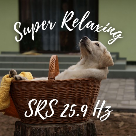 SRS Music - Super Relaxing Music for Studying & Stress Relief | Boomplay Music