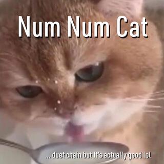 Num Num Cat (duet chain Version)