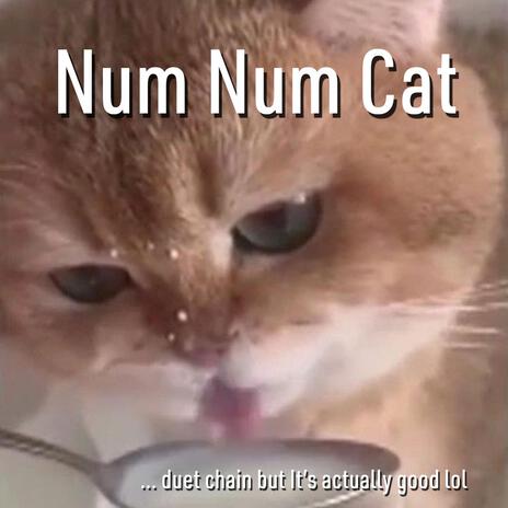 Num Num Cat (duet chain Version) | Boomplay Music