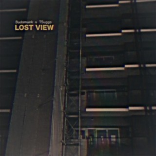 Lost View