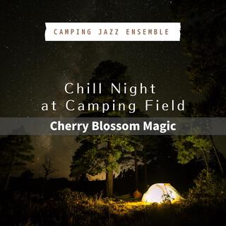 Chill Night at Camping Field - Cherry Blossom Magic