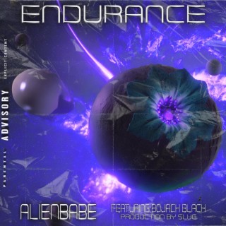 ENDURANCE