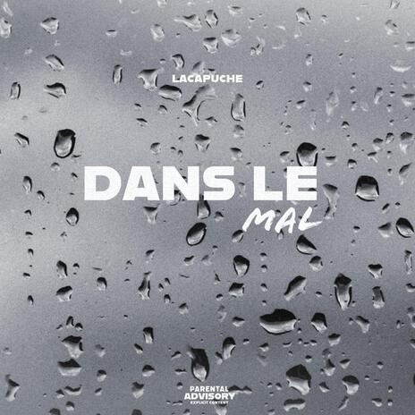 Dans le mal | Boomplay Music