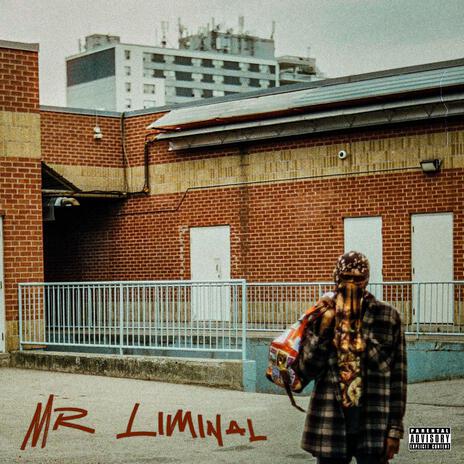 Mr. Liminal | Boomplay Music