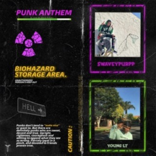 Punk Anthem (feat. Young LT)