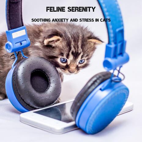 Blissful Feline Lullabies ft. Relax Cat, Pet Music Doctor & Cat Experience | Boomplay Music