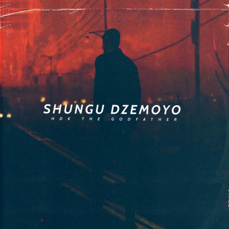 Shungu dzemoyo (Radio Edit)