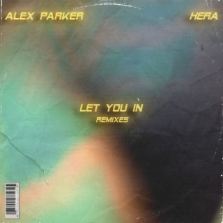 Let You In (Remixes)