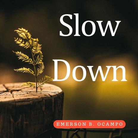 Slow Down | Boomplay Music