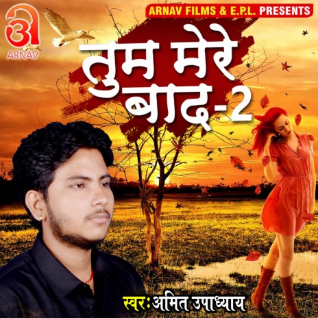Tum Mere Baad 2 (Bhojpuri) | Boomplay Music
