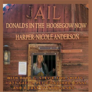 Donald's in the Hoosegow Now lyrics | Boomplay Music