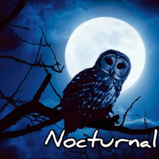 Nocturnal (Slowed Down)