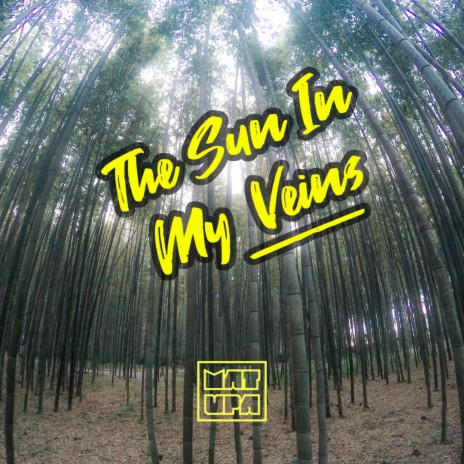 The Sun In My Veins | Boomplay Music