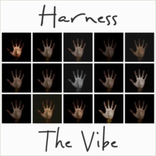 Harness The Vibe