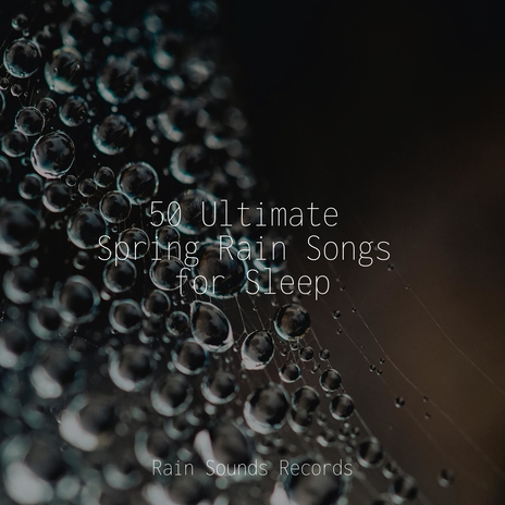 Mystic Waterscape ft. Nature Sound Collection & Rain Sounds & White Noise | Boomplay Music