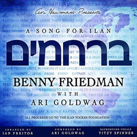 Berachamim ft. Ari Goldwag | Boomplay Music